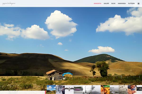 Gt3-wp-frame theme site design template sample
