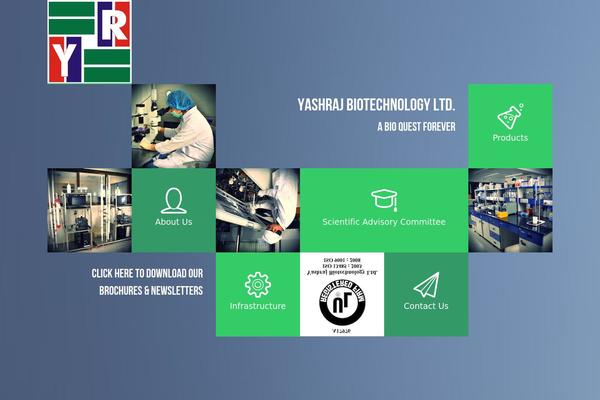 Argo theme site design template sample