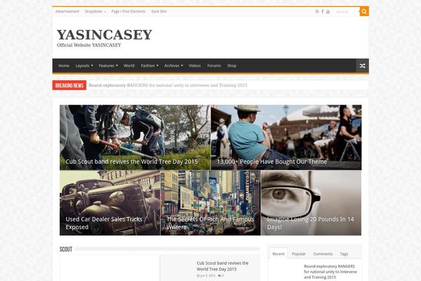 Site using Better-social-counter plugin