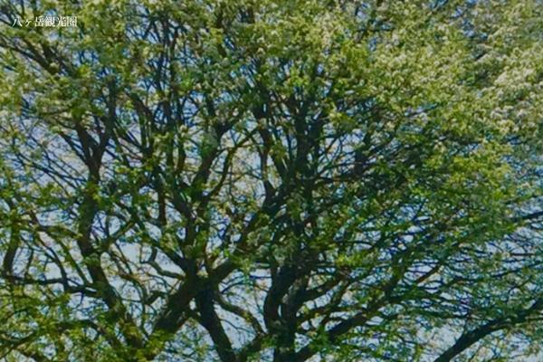 Understrap-child theme site design template sample