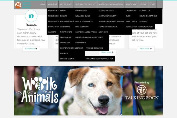 Site using Divi-bars plugin
