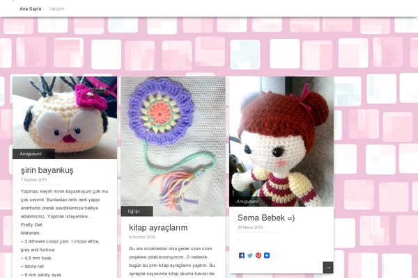 yavruceylan.com site used Pinbin