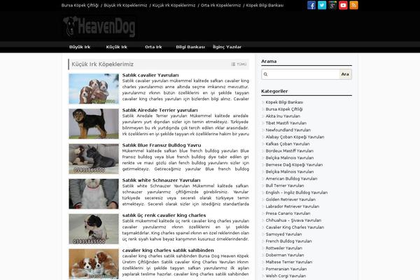 Golge theme site design template sample