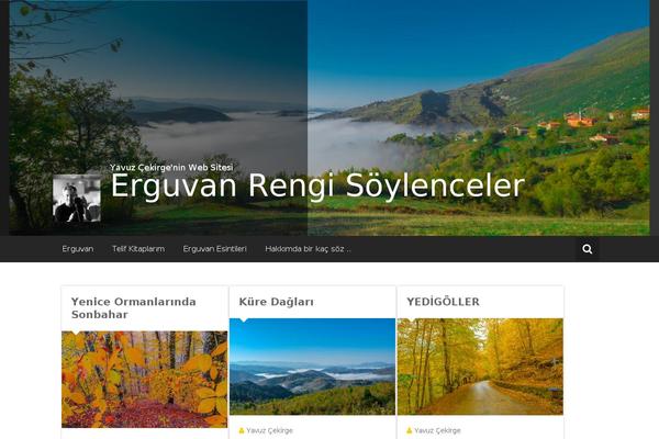 Site using Wp-stats-manager plugin