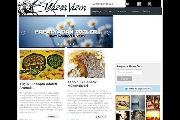 Site using Flash Video Player plugin