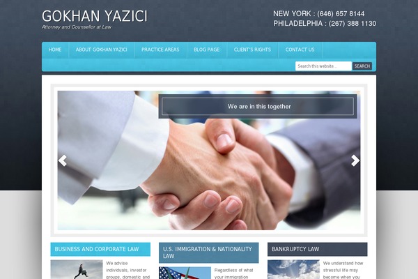 WizeLaw theme site design template sample