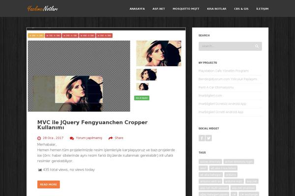 Site using SyntaxHighlighter Evolved plugin