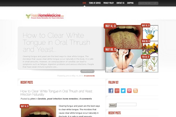DelicateNews theme site design template sample