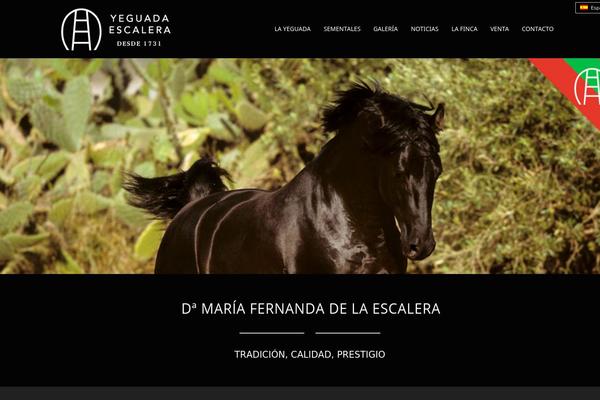 Durus theme site design template sample