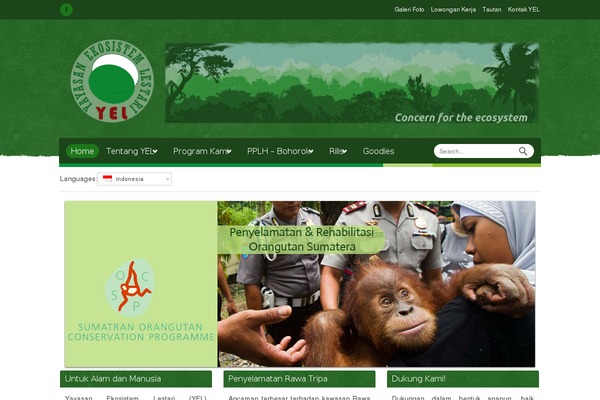 Relief theme site design template sample