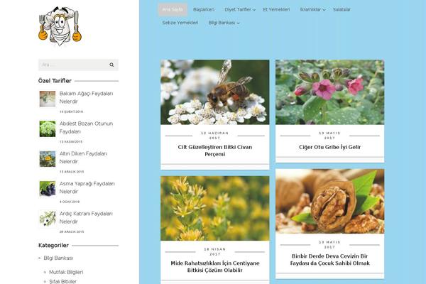 Site using Advanced Post Pagination plugin