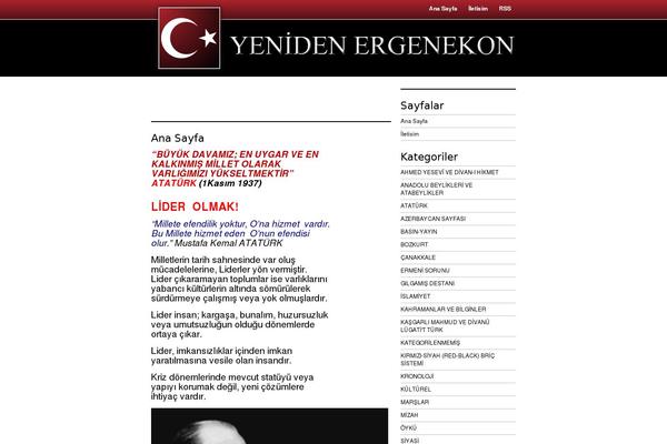 yenidenergenekon.com site used Tasarim