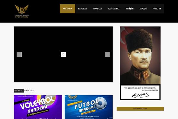 Splash theme site design template sample