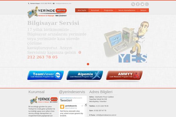Site using Category Posts Widget plugin