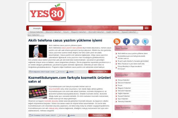 SEO Hocasi V3 theme site design template sample