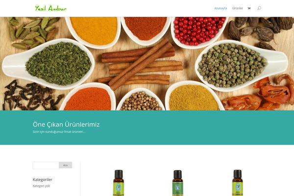 Divi-2.0 theme site design template sample