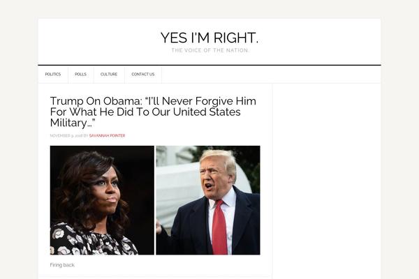 News Pro theme site design template sample