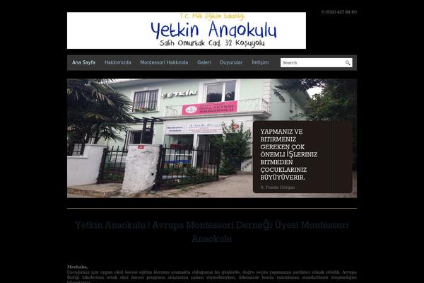 BlackBird theme site design template sample