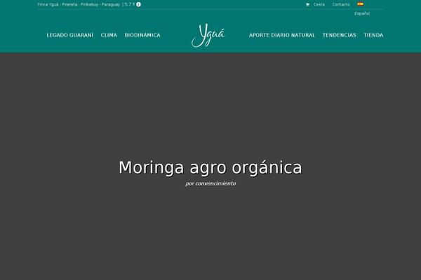 Site using Popup Maker plugin