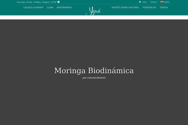 Avada Child Theme theme site design template sample