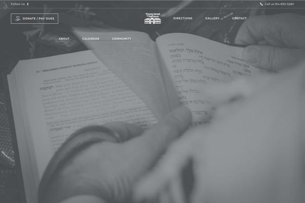 Site using Perfmatters plugin