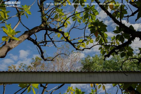 Site using Bridge-core plugin