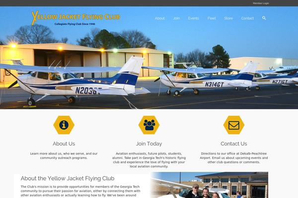 Pinnacle Premium theme site design template sample