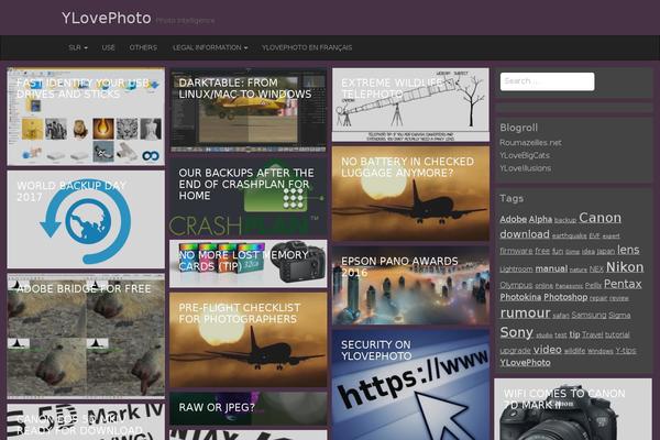 Destin Basic theme site design template sample