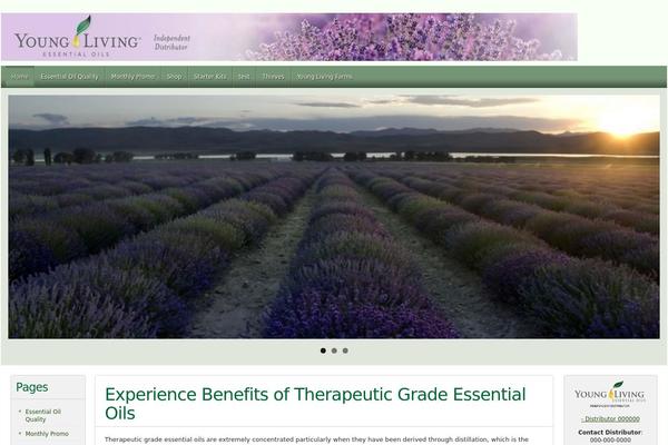 FlexSqueeze 2 theme site design template sample