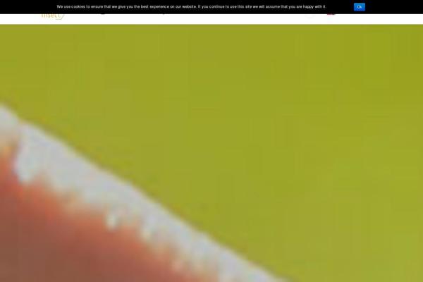 Oceanwp-child theme site design template sample