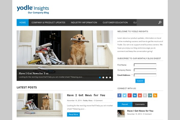 Magazon Wp theme site design template sample
