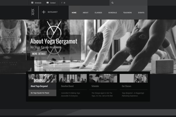 Fit Wp theme site design template sample