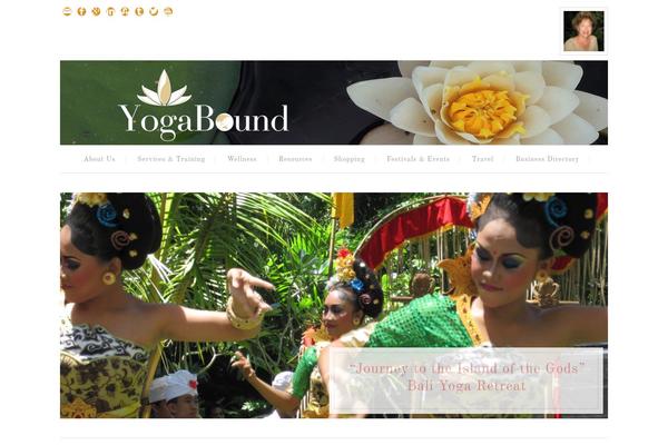 Swank theme site design template sample