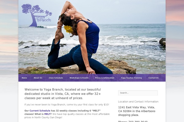 Pro theme site design template sample