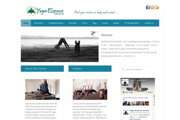 Lifestyle Pro theme site design template sample