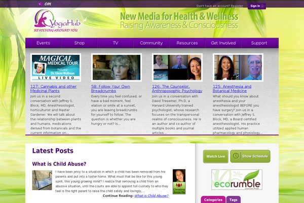 yogahub.org site used Yhglobal-yhtv