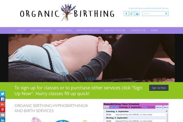 Site using Google-places-reviews-pro plugin