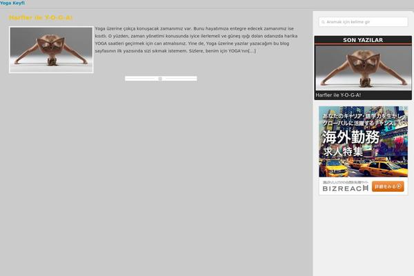 Cool theme site design template sample