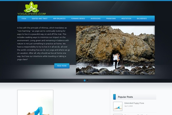 theDawn WordPress theme, websites list used theDawn theme theDawn theme websites examples