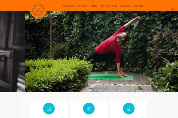 Site using Salient-portfolio plugin