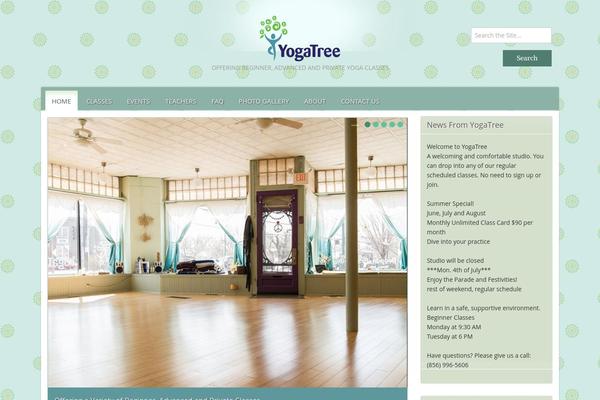 Site using AnyWP MailChimp plugin