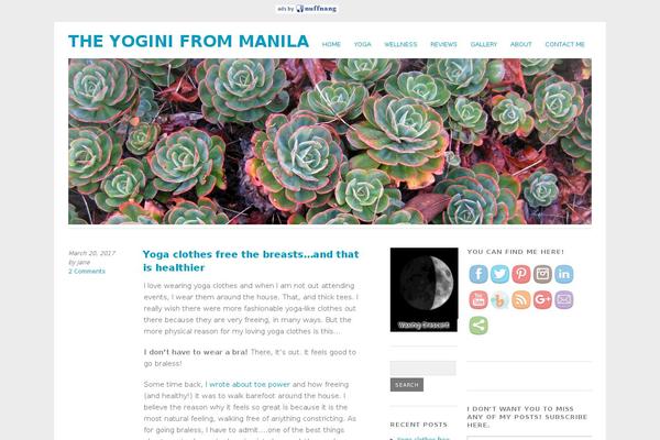 Site using Pinterest Pinboard Widget plugin