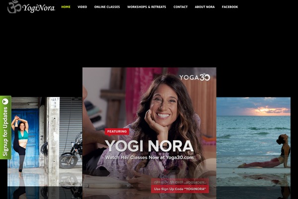 Artemis theme site design template sample