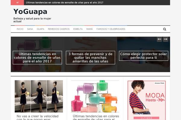 FlyMag theme site design template sample