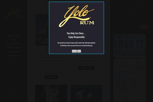 Sleek theme site design template sample