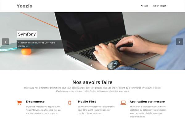 Appointment theme site design template sample