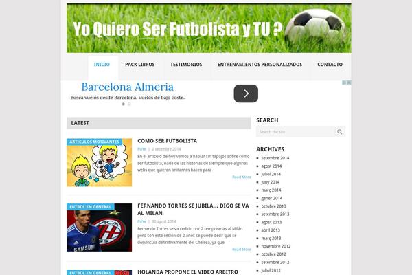 Point theme site design template sample