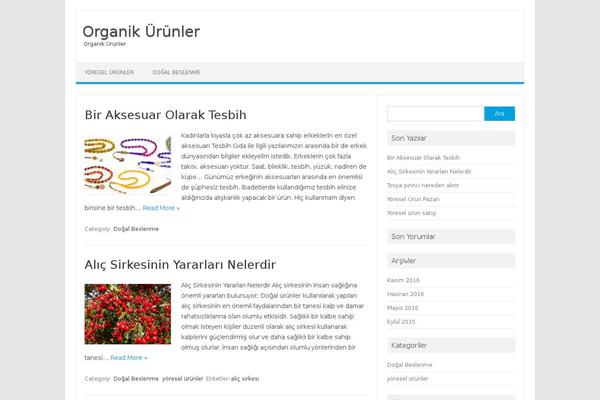 Iconic One theme site design template sample