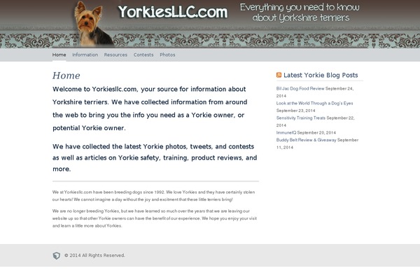 Big City theme site design template sample