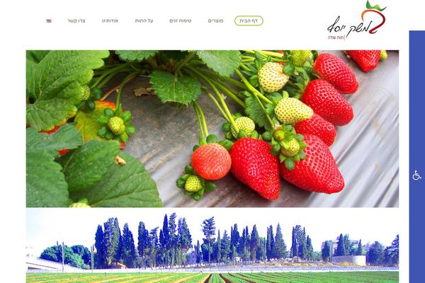 Stream theme site design template sample